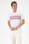2104447 Parın Us Polo Assn Men's T-Shirt - 3