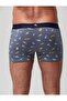 ملابس داخلية رجالية من نوع BOXER ŞİŞE، ROTA، GEYİK DE، عبوة من منقوش قطع - تصميم مريح - 4