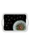 Melamine Rectangle Tray with Handle, 15 inches, Fiona - 3
