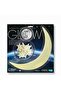 Glow in the Dark Moon and 12 Stars