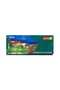 Students Oil Colour Set 20mlx12 Shades
