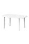 Long Rectangular Garden Table - 2