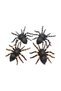 4 pcs Wild Spider Set, Assorted - 2