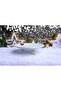 Gilded Porcelain Presentation Holder with Metal Legs - 2