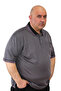 Men's Plus Size Double Striped Knitwear Polo Collar T-Shirt - 3
