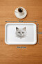 Cute Friends 4-Piece Presentation Tray Set |   4 Piece Tea and Coffee Serving Tray Set |   31X21 cm - 4