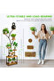 Wrought Iron Flower Rack with Shelves for Indoor & Balcony Plants - 3