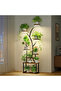 Wrought Iron Flower Rack with Shelves for Indoor & Balcony Plants