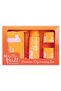 Premium Rejuvenating Set