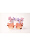 Orange Figured Glasses and Glitter Ribbon Buckle 3-Piece Girls' Accessory Set Dd367