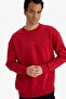 Boxy Fit Crew Neck Soft Fleece Lined Printed Sweatshirt X8282AZ25AU - 3