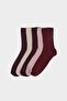 Women's 5-Pack Cotton Long Socks F5602Axns