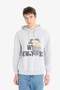 Boxy Fit Hooded Printed Sweatshirt F2248Ax25Wn - 3