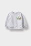 Crew Neck Dinosaur Printed Soft Fleece Inside Sweatshirt for Baby Boy F5020A525Au - 4