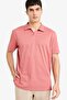 Regular Fit Polo Collar Fine Textured Short Sleeve T-Shirt F8477AX25AU