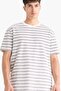 Regular Fit Crew Neck Short-Sleeve Striped T-Shirt E2623AX25SM