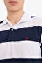 100% Cotton Regular Fit Polo Neck Striped Short Sleeve T-Shirt D7934Ax25Sp - 5