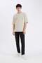 Loose Fit Crew Neck Printed Short Sleeve Heavy Fabric T-Shirt D5557Ax25Sp - 2