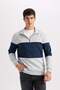 Comfort Regular Fit Comfortable Fit Stand Collar Zippered Striped Thick Sweatshirt D2401Ax24Au - 7