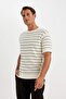 Standard Fit Crew Neck Striped Cotton Pack Short Sleeve T-Shirt D3581Ax24Sm - 3