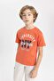 Boy's Crew Neck Printed Short Sleeve T-Shirt C0650A824Sm