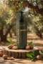 Argan Oil Repairing, Moisturizing and Anti-Hair Loss Care Shampoo 500 ml - 8