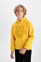 Boy's Hooded Thick Sweatshirt B2044A823Wn