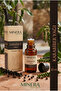 Black Pepper Oil 20 ml (Black Pepper Oil) Glass Bottle with Dropper - 2