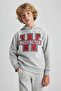 Boy's Hooded Printed Thick Sweatshirt B2054A823Wn