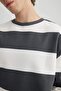 Boxy Fit Crew Neck Striped Woven Label Sweatshirt A9066Ax23Au - 6