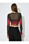 Gradient Long Sleeve Round Neck Tulle Crop T-Shirt - 4
