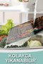 Colorful Spice Rack Patterned Tempered Glass Cutting Board 21X30 cm Size Uv Printing - Ckt101 - 6