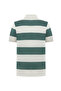 Men's Green Polo Collar Striped T-Shirt - 5