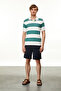 Men's Green Polo Collar Striped T-Shirt