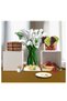 Multi-Purpose Storage Box with White Lid (20cm X 20cm X 15cm) - 4