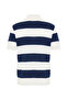 Men's Navy Blue Striped Polo Collar Short Sleeve Sweater - 3