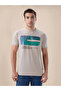 Graphic Print Regular Fit Grey T-shirt