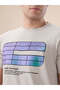 Graphic Print Regular Fit Grey T-shirt - 4