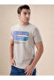 Graphic Print Regular Fit Grey T-shirt - 2