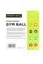 INC GYM Ball 65CM Assorted Color - 7