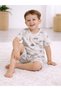 Infant Boys Animal Print Cotton Pajama Set – Soft T-Shirt & Shorts Nightwear - 4