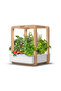 Garden Cube Hydroponics Growing System - 5