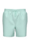 Men's Medium Waistband Drawstring Mint Green Swim Shorts
