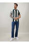 Vertical Stripe Regular Fit Green Polo T-shirt - 5