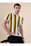 Vertical Stripe Knitted Regular Fit Sunflower Polo T-shirt - 6