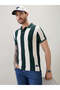 Vertical Stripe Regular Fit Green Polo T-shirt - 6