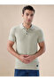 Sage Tipping Collar Regular Fit Polo T-shirt