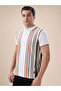 Striped Contrast Tipping Regular Fit White Polo T-shirt - 2