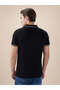 Black Tipping Collar Regular Fit Polo T-shirt - 3
