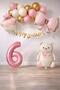 Retro 6 Year Old Teddy Bear Themed Baby Girl Concept Birthday Set